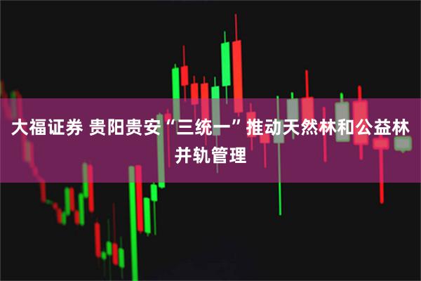 大福证券 贵阳贵安“三统一”推动天然林和公益林并轨管理