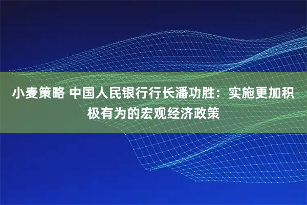 小麦策略 中国人民银行行长潘功胜：实施更加积极有为的宏观经济政策